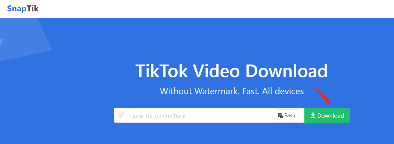 tiktok去水印解析网站