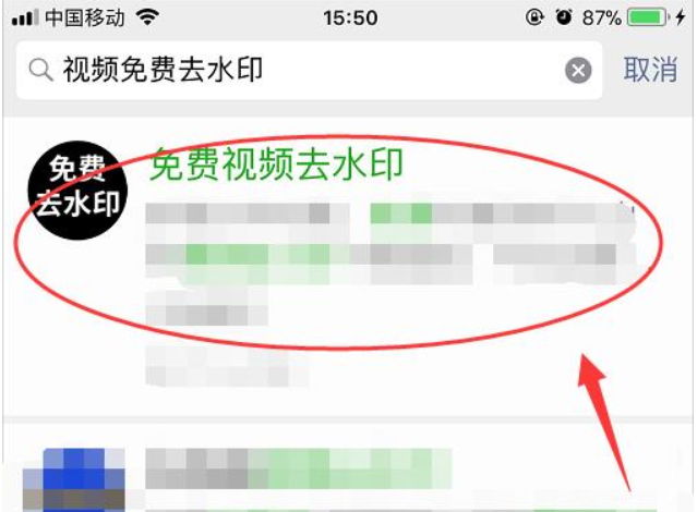 视频去水印.png