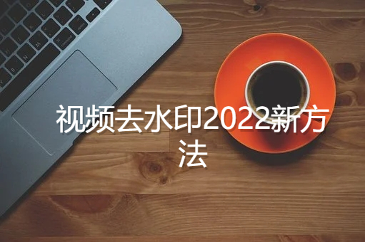 视频去水印2022最新方法，简单、快速、无痕迹