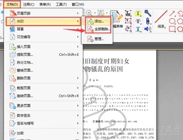 pdf里面的水印去不掉怎么办