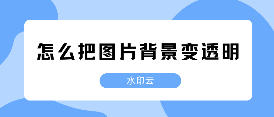 怎么把图片背景变透明？分享4种将照片去白底变透明的方法！