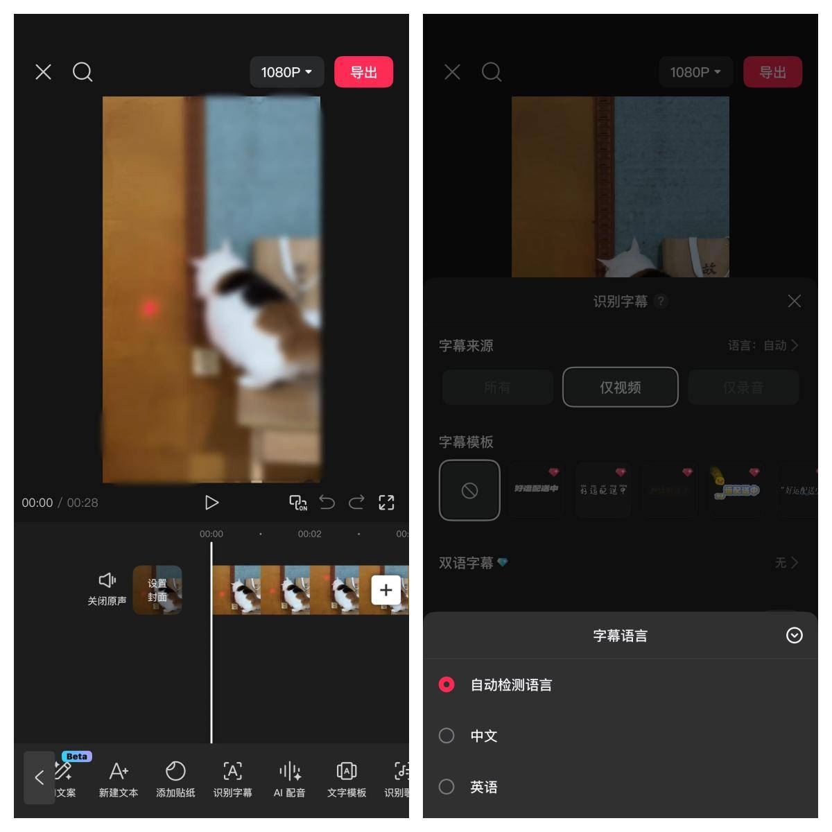 视频字幕提取工具