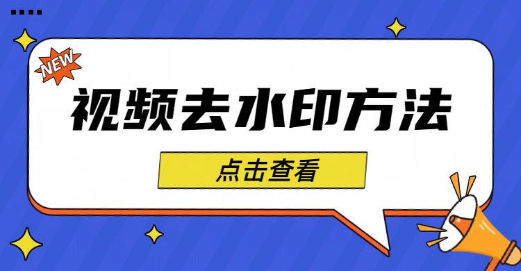 视频去水印方法