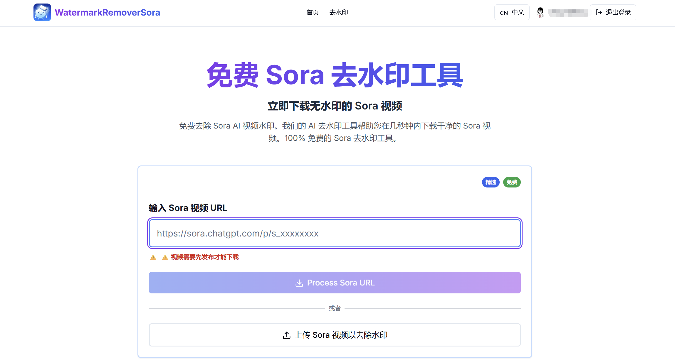 Sora2视频去水印工具
