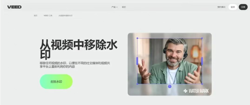 AI视频去水印工具