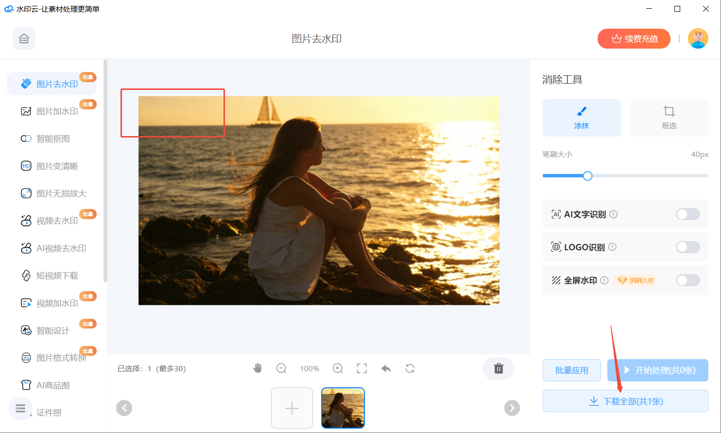 AI生成图片去水印工具推荐 AI生成图片去水印工具推荐