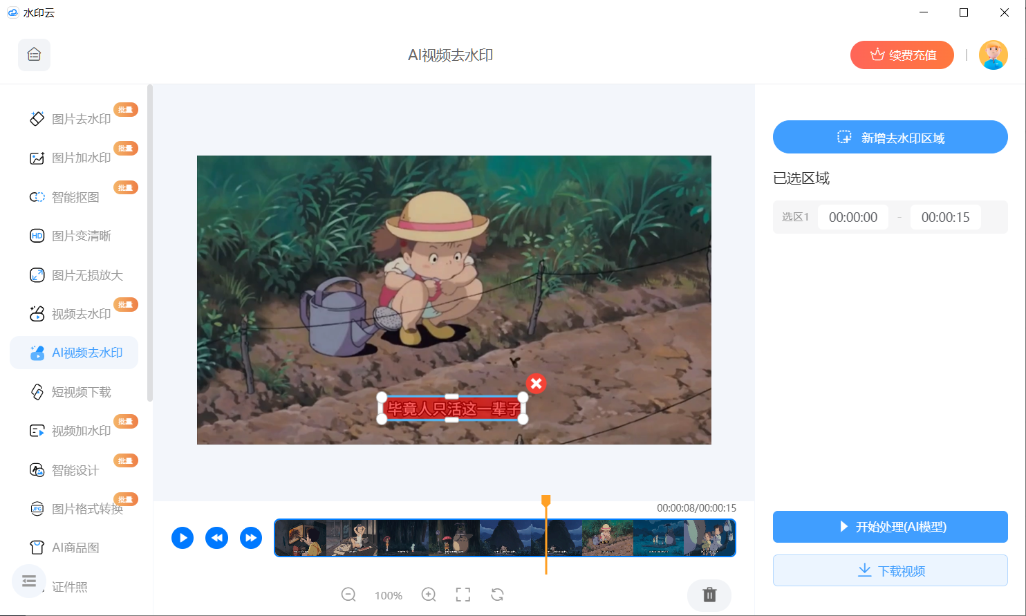 视频去水印工具实测