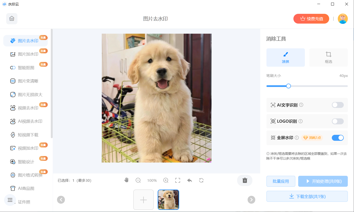 图片去水印 图片去水印