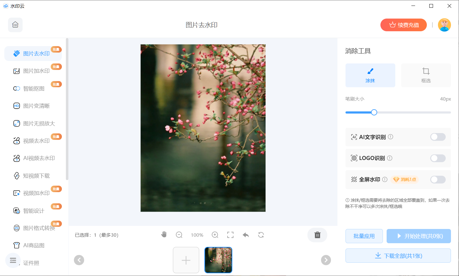 2026图片去水印软件推荐
