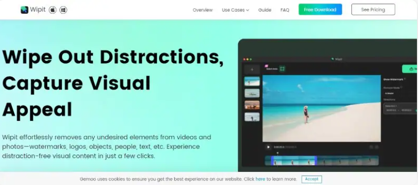 视频在线去水印工具