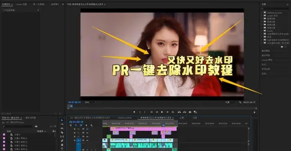 Pr去水印详细步骤-premiere去水印logo视频教程