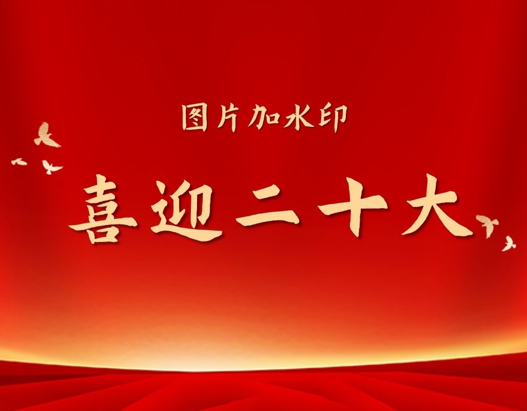 图片加水印之中共二十大开幕