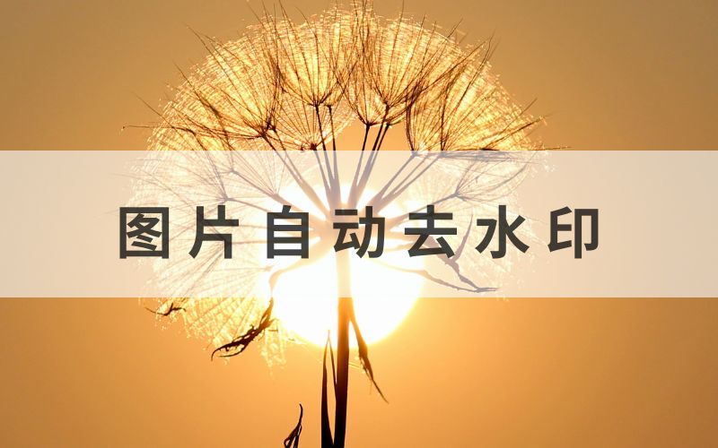 一键无痕!揭秘图片自动去水印的神奇魔法