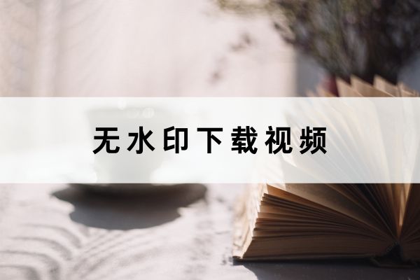 教你一招,b站无水印下载视频的方法