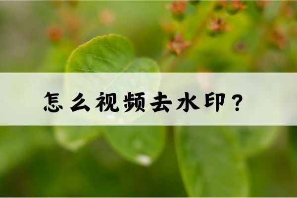 怎么视频去水印?推荐三个简单好用的方法